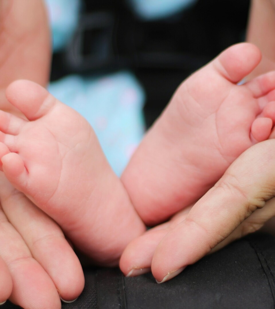 pés de um bebé nas mãos da mãe